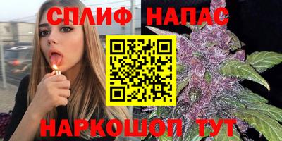 дмт Моздок