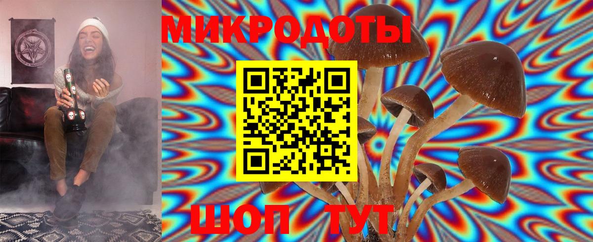 Галлюциногенные грибы мицелий  Галлюциногенные грибы Magic Shrooms  Фурманов  Вход с VPN 